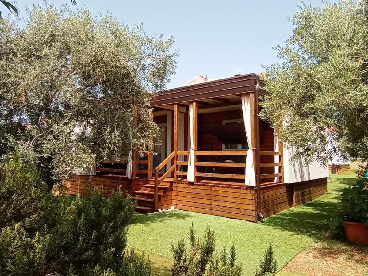 Mobile Homes Olive And Sea Bibinje Ngoại thất bức ảnh